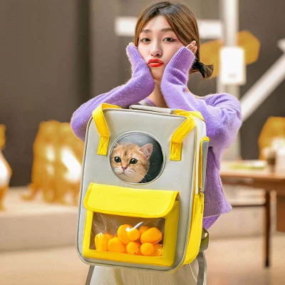 Mochila de gato portátil fofinha para sair, bolsa de lona respirável de grande capacidade, suprimentos para animais de estimação